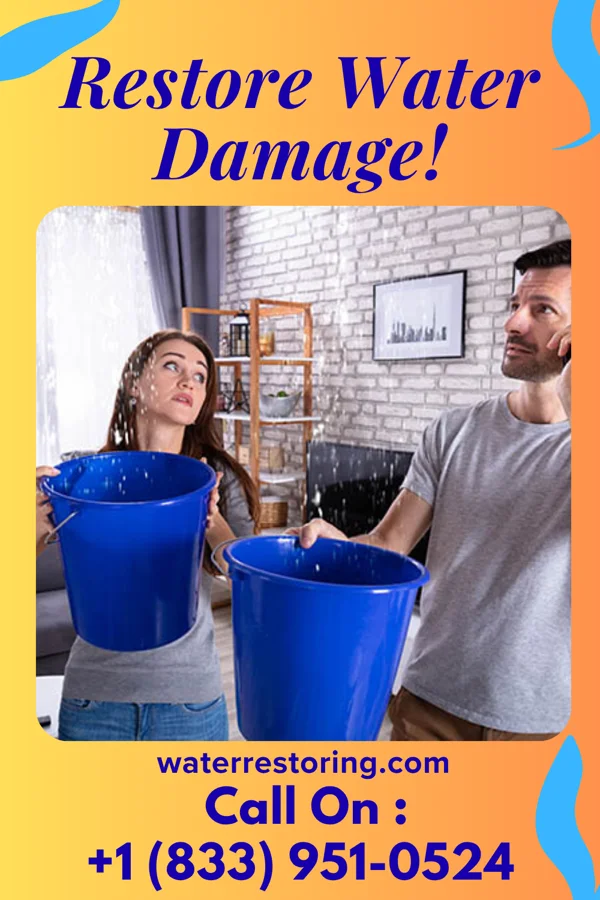 water restoration Atlas Sewage Cleanup Partners Willow Oak