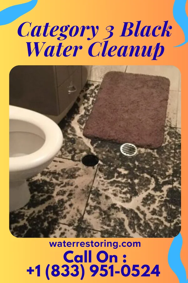 Category 3 Black Water Cleanup in Willow Oak, FL