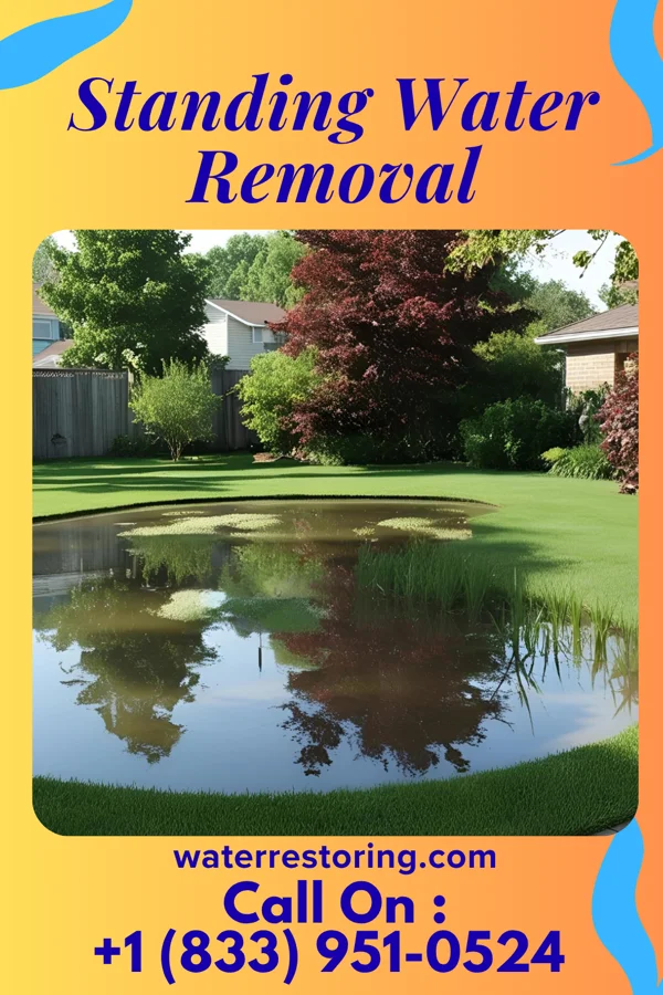 Standing Water Removal in Willow Oak, FL